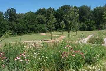 Celery Bog - Nature Trails